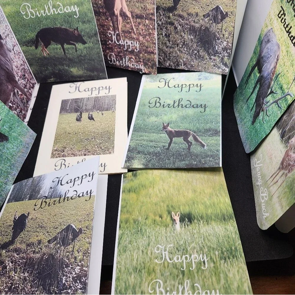 Hand Crafted Nature-Themed Birthday Cards Set Of 12